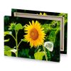 a sunflower with leaf on it orange canvas - Image 4
