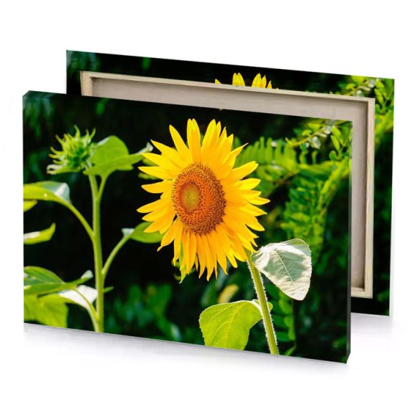 a sunflower with leaf on it orange canvas - Image 4