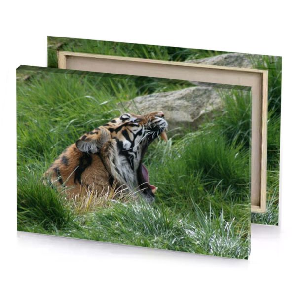 a tiger is laying in the grass and ya dark olive green canvas - Image 4