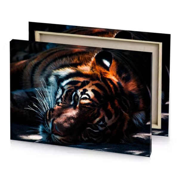 a tiger laying down on the ground camouflage green canvas - Image 4