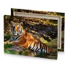 a tiger laying in the water peru canvas - Image 4