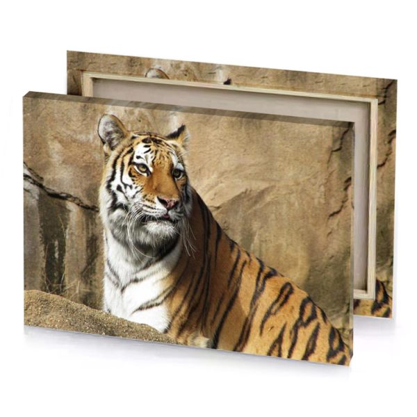 a tiger sitting on rock bistre canvas - Image 4