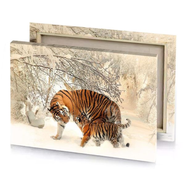a tiger walking through the snow covered forest sienna canvas - Image 4