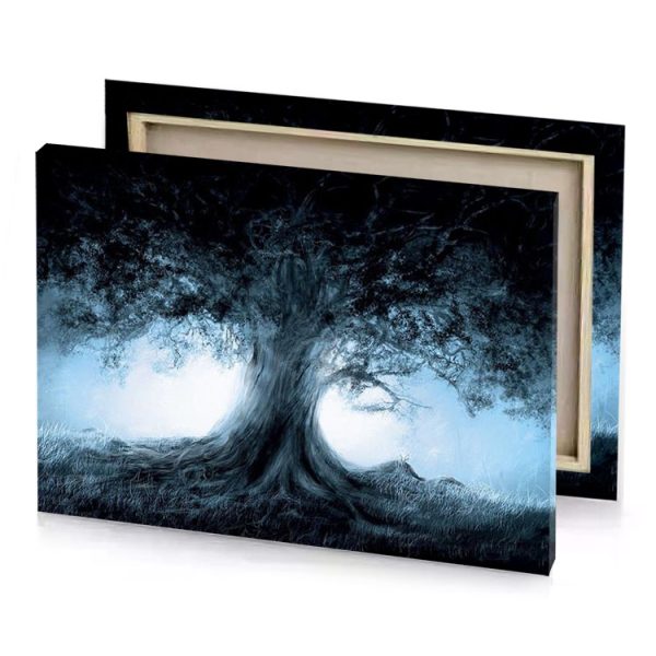 a tree in the dark with light shining through it alice blue canvas - Image 4
