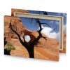 a tree in the desert with rock formation background glaucous canvas - Image 4