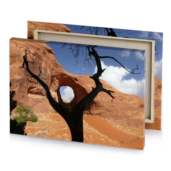 a tree in the desert with rock formation background glaucous canvas - Image 4