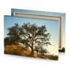 a tree on hill bistre canvas - Image 4