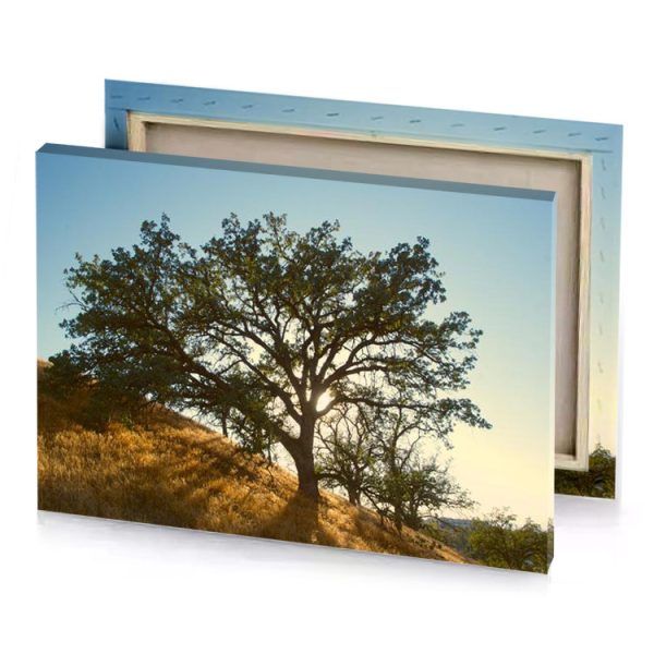 a tree on hill bistre canvas - Image 4