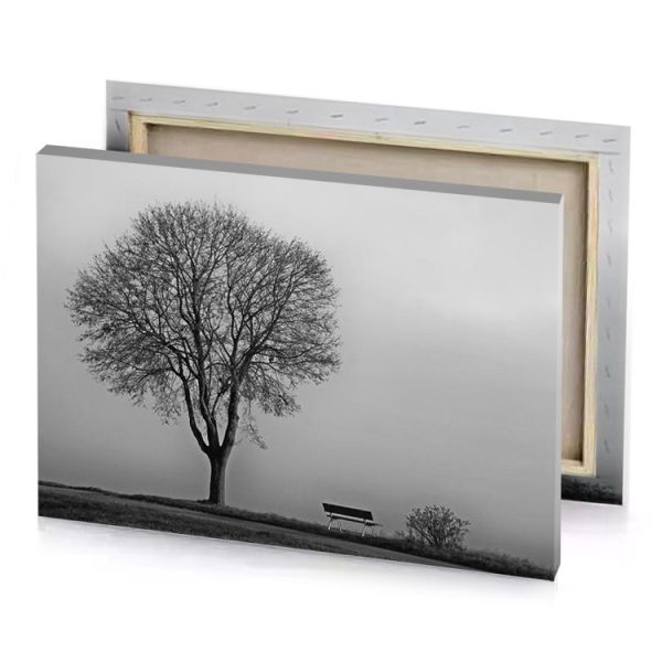 a tree with no leaves gray canvas - Image 4
