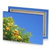 a tree with oranges growing on it yellow green canvas - Image 4