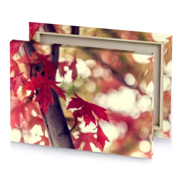 a tree with red leaves on it brown canvas - Image 4