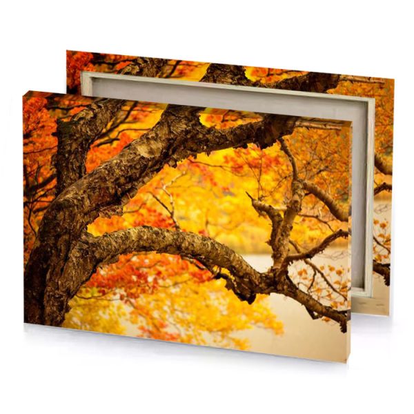 a tree with yellow leaves in the background amber canvas - Image 4