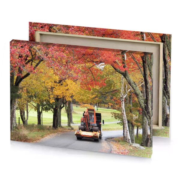 a truck driving down road with trees in the background peru canvas - Image 4