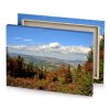 a view of mountain range with trees and mountains in silver canvas - Image 4