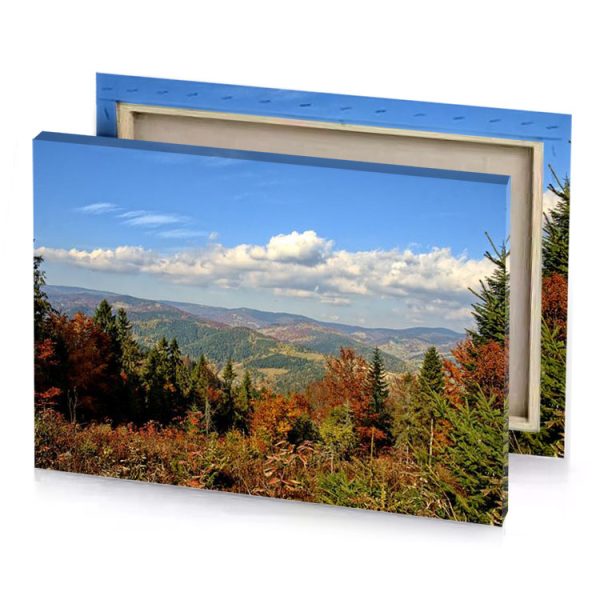 a view of mountain range with trees and mountains in silver canvas - Image 4