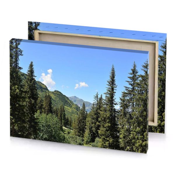 a view of mountain with trees and blue sky light canvas - Image 4