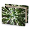 a view of the top tall tree dark sea green canvas - Image 4