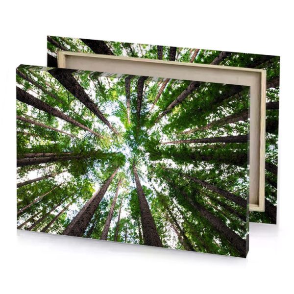 a view of the top tall tree dark sea green canvas - Image 4