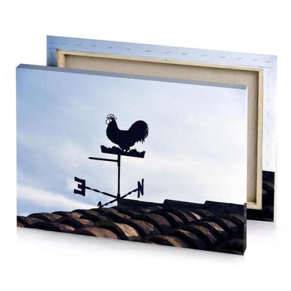 a weather vane on roof with rooster top platinum canvas - Image 4
