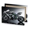 a white and green motorcycle is shown in the dark charcoal canvas - Image 4