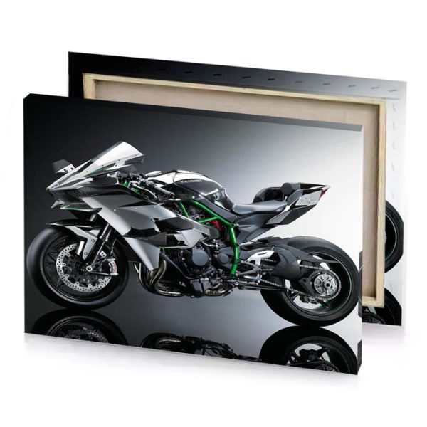 a white and green motorcycle is shown in the dark charcoal canvas - Image 4