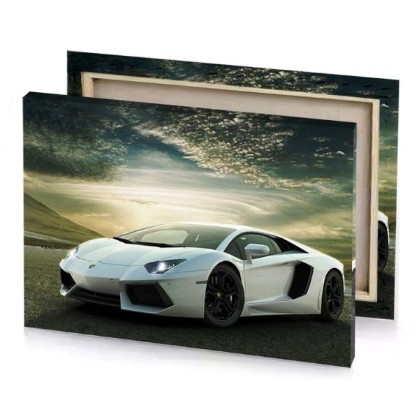 a white lamb pearl canvas - Image 4