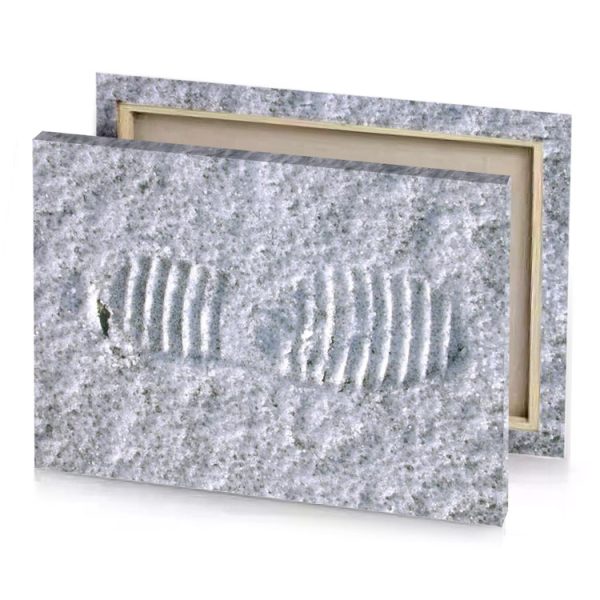 a white snow covered surface with footprints silver canvas - Image 4