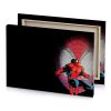 spiderman wallpapers lust canvas - Image 4