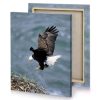 a bald eagle flying over nest on the shore smoky black canvas - Image 4
