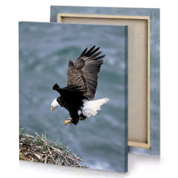 a bald eagle flying over nest on the shore smoky black canvas - Image 4