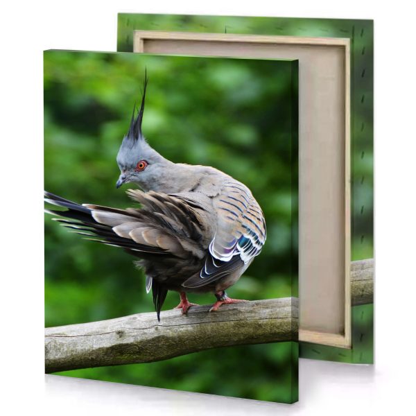 a bird with long tail sitting on branch fern green canvas - Image 4