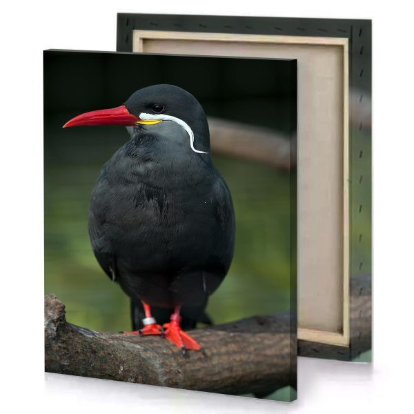 a bird with red beak sitting on branch bistre canvas - Image 4