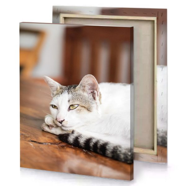 a cat laying on wooden table linen canvas - Image 4