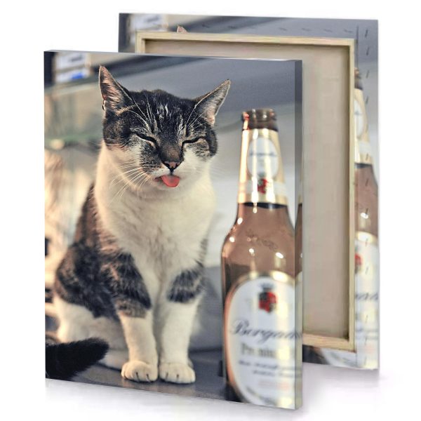 a cat sitting on counter next to bottle of beer silver canvas - Image 4