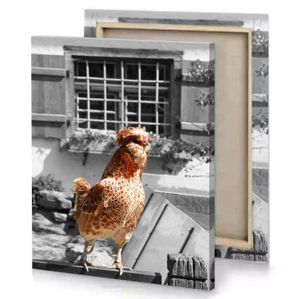 a chicken standing on wooden fence saddle brown canvas - Image 4