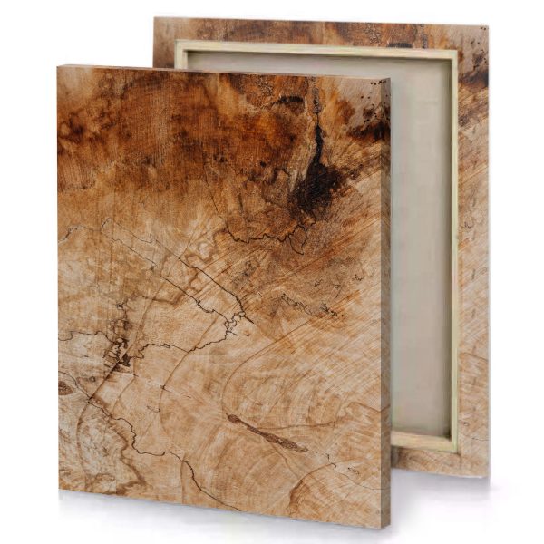 a close up of tree trunk rosy brown canvas - Image 4