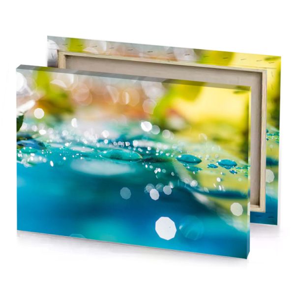 a close up of water droplets on leaf blue sapphire canvas - Image 4