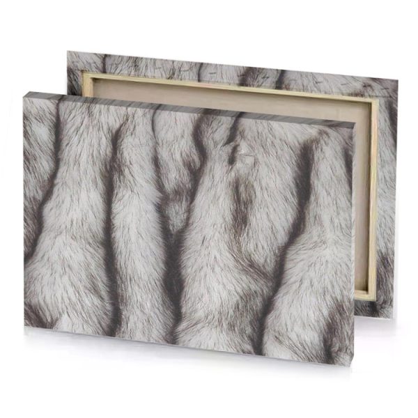 a close up of white fur silver canvas - Image 4