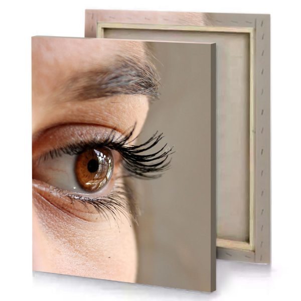 a close up of woman s eye with long eyelashes mountbatten pink canvas - Image 4