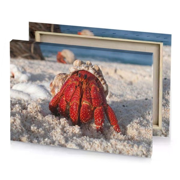 a crab on the beach brown canvas - Image 4