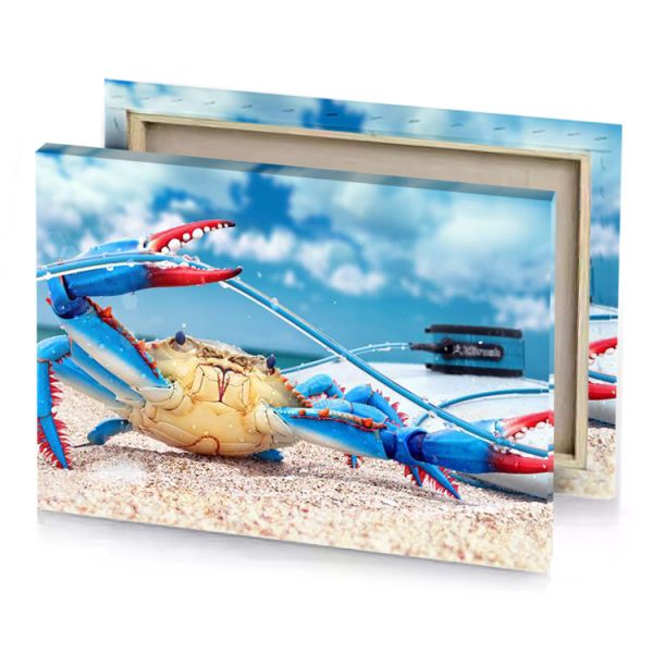 a crab on the beach burlywood canvas - Image 4