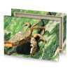 a crab on the rocks at beach taupe canvas - Image 4