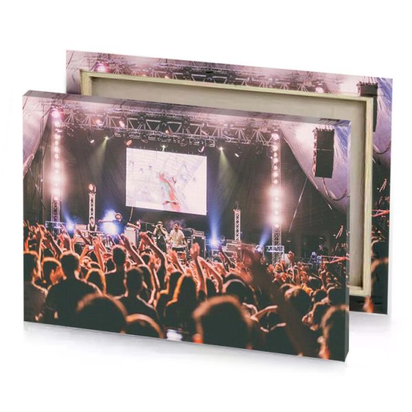 a crowd of people at concert platinum canvas - Image 4