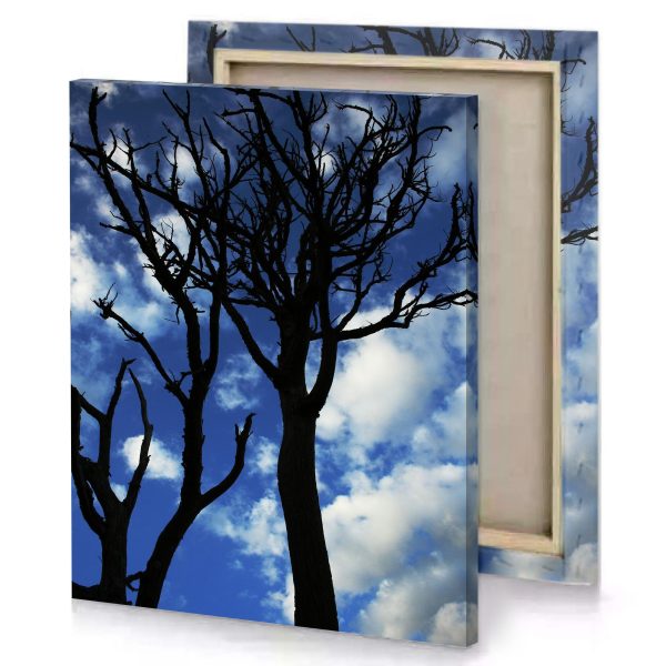 a dead tree with no leaves dark cornflower blue canvas - Image 4