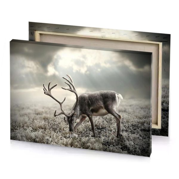 a deer grazing in field with cloudy sky silver canvas - Image 4