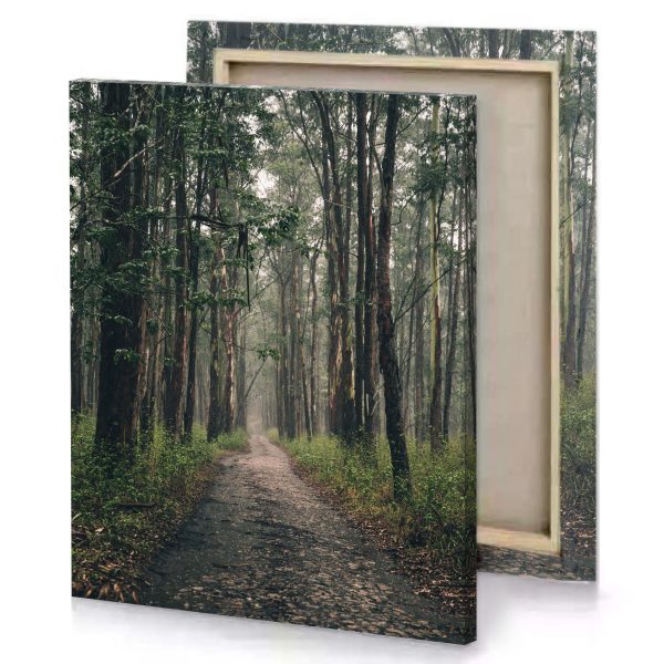 a dirt road in the middle of forest camouflage green canvas - Image 4