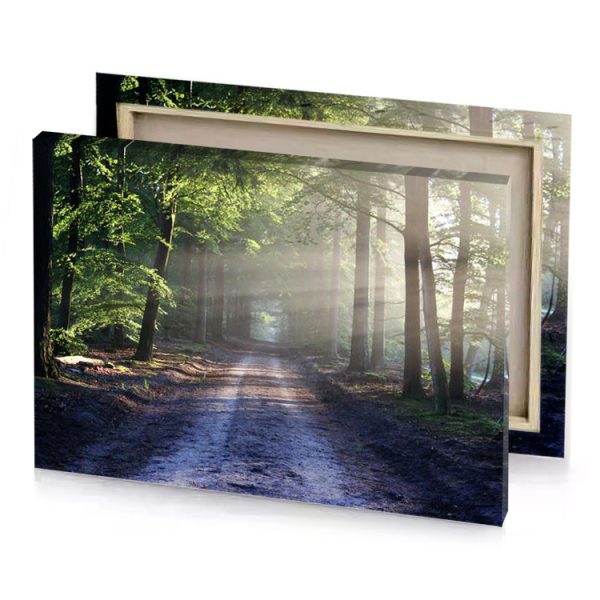 a dirt road in the woods dim gray canvas - Image 4