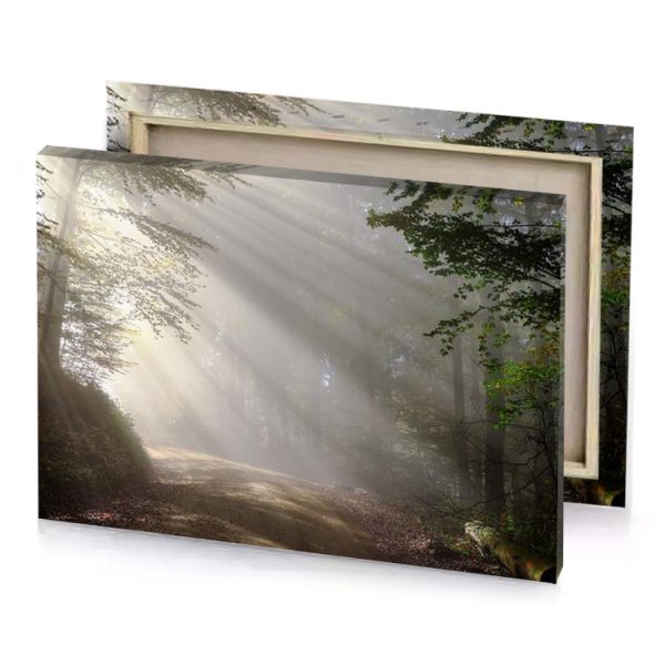 a dirt road in the woods with sunbeams rose quartz canvas - Image 4