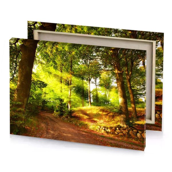 a dirt road in the woods with trees banana yellow canvas - Image 4