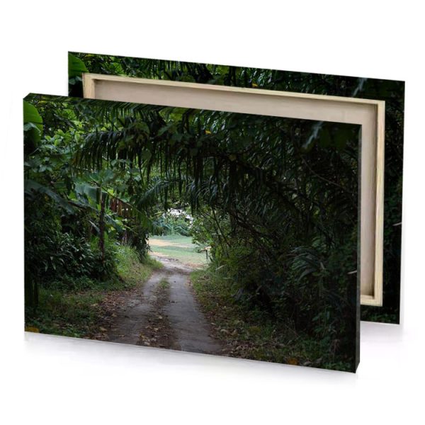 a dirt road with bunch of trees on both sides hunter green canvas - Image 4